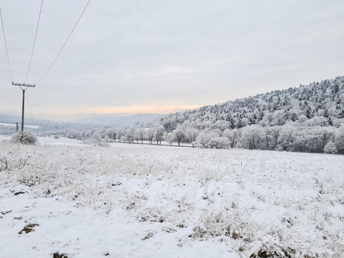 Apartmany Safran Bardejovské Kúpele Buitenkant foto